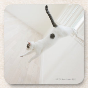Das Katzenspringen Getränkeuntersetzer