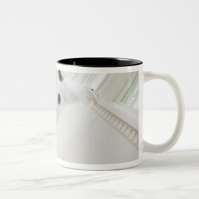 Das Katzenspringen Zweifarbige Tasse (Rechts)