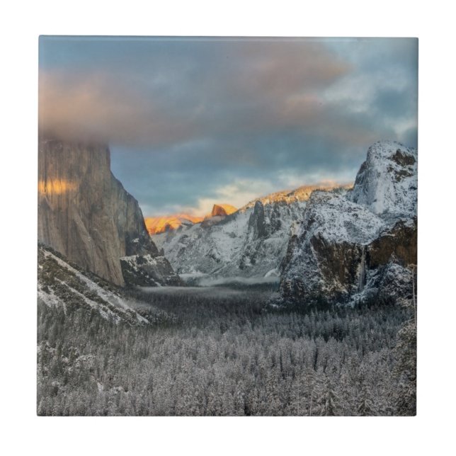 Das Kennzeichen des Winters Fliese (Vorderseite)