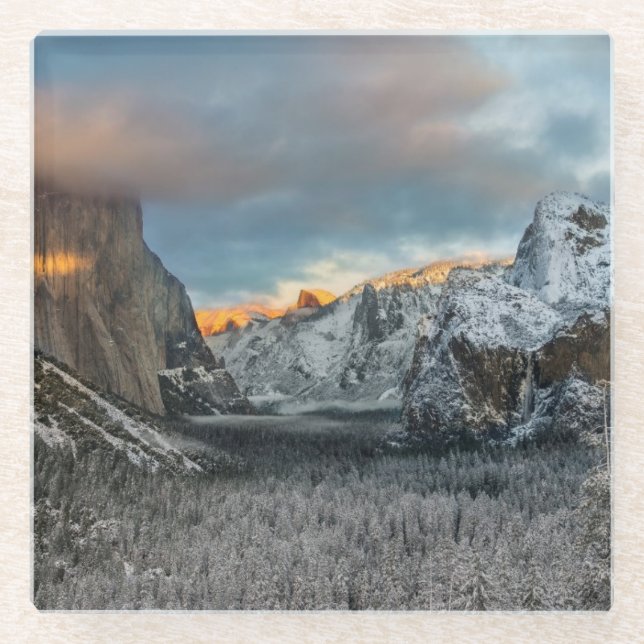 Das Kennzeichen des Winters Glasuntersetzer (Vorderseite)