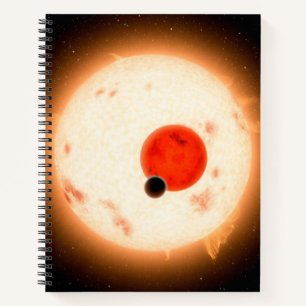 Das Kepler-16 System. Notizbuch