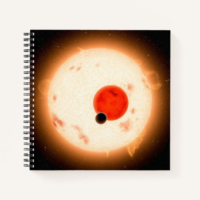 Das Kepler-16 System. Notizbuch (Vorderseite)