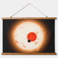 Das Kepler-16 System.