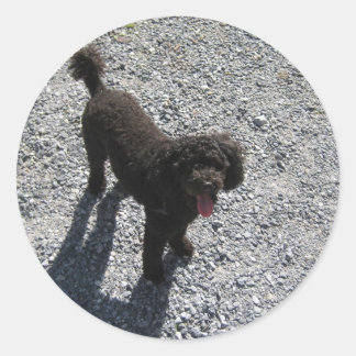 Das kleine schwarze Poodle Runder Aufkleber