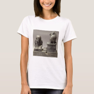 Das königliche Schreiber Nebmertuf Schreiben unte T-Shirt