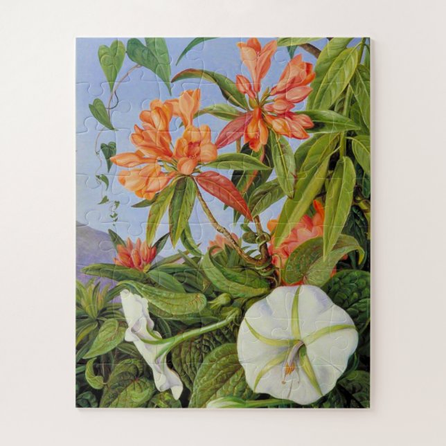 Das Kunstwerk von Marianne North, A Javan Rhododen (Vertikal)