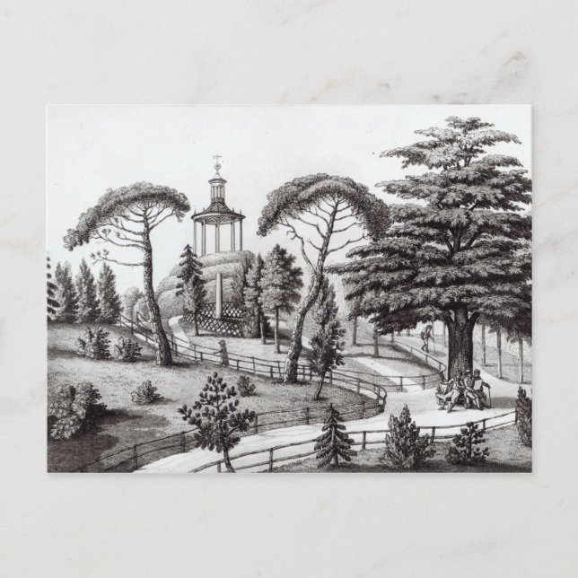 Das Labyrinth des Jardin des Plantes Postkarte (Vorderseite)