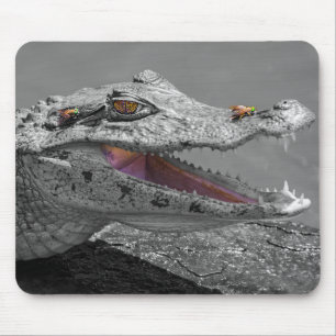 Das lächelnde Krokodil und die Fliegen - Costa Ric Mousepad