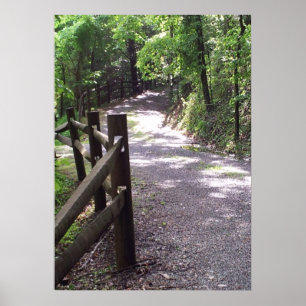 Das Landschaftspopster auf dem besiegten Weg Poster
