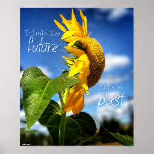 Das Lassen gehen voran Plakat schauen