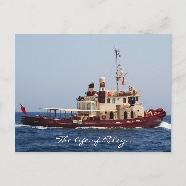 Das Leben der Postkarte von Riley (Vorderseite)