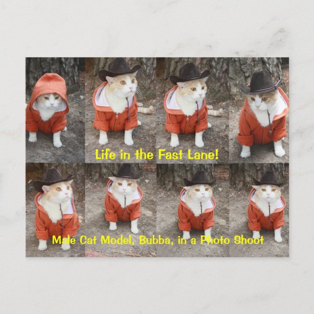 Das Leben in der Flucht! Postkarte (Vorderseite)