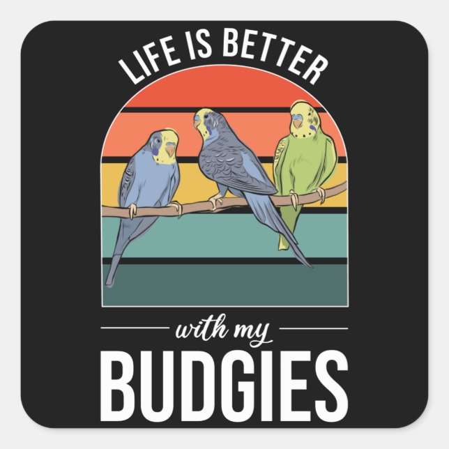 Das Leben ist besser mit Budgie Budgie Bird Quadratischer Aufkleber (Vorderseite)