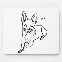 Das Leben ist besser mit Chihuahua