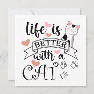 Das Leben ist besser mit einem Cat-Anführungsmotto