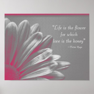 Das Leben ist die Blume - rosa Gänseblümchen Poster