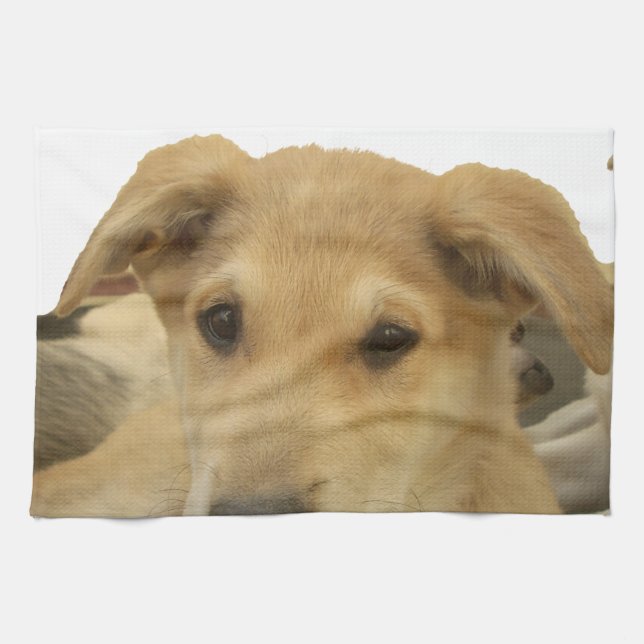 "Das Leben ist die gründlichste Schule" Hundekunst Handtuch (Horizontal)