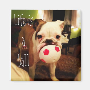 Das Leben ist ein Ball! Magnet