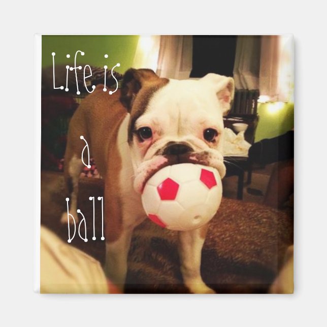 Das Leben ist ein Ball! Magnet (Vorne)