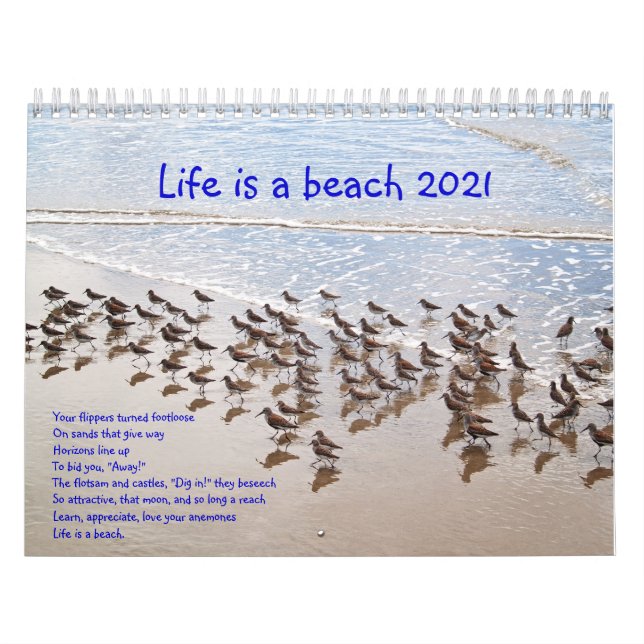 Das Leben ist ein Beach Calandar 2020 Kalender (Titelbild)