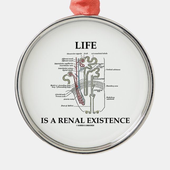 Das Leben ist ein Nierenbestehen (Niere Nephron) Silbernes Ornament (Vorne)
