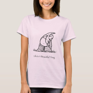 Das Leben ist eine schöne Sache, die Frauen Bio T T-Shirt