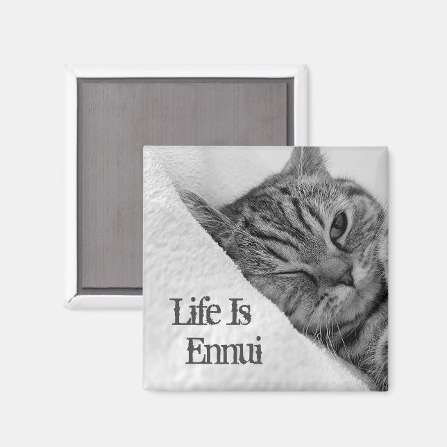 Das Leben ist Ennui, Tabby Cat Lying Down Magnet (Vorderseite/Rückseite)