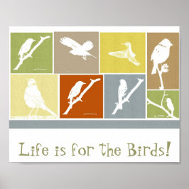 Das Leben ist für das Vogelplakat Poster