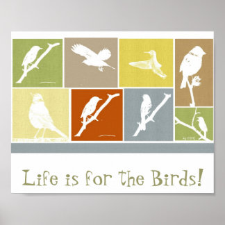 Das Leben ist für das Vogelplakat Poster