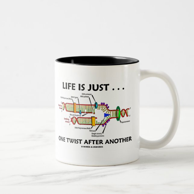 Das Leben ist gerade… eine Drehung nach anderen Zweifarbige Tasse (Rechts)