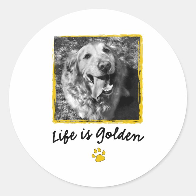 Das Leben ist golden (Retriever) Runder Aufkleber (Vorderseite)