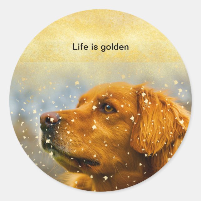 Das Leben ist goldener Retriever Aufkleber. Runder Aufkleber (Vorderseite)
