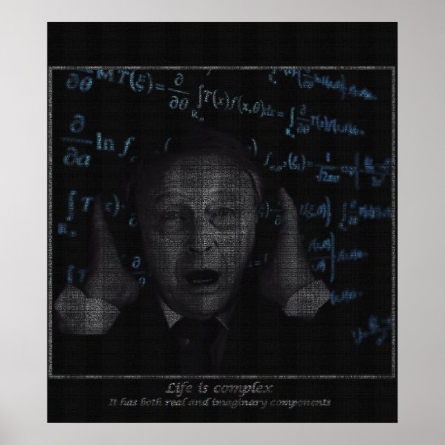 Das Leben ist komplex Poster (Vorne)