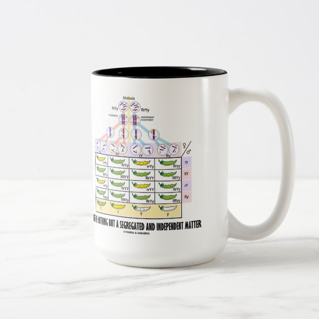 Das Leben ist nichts aber ein getrenntes Zweifarbige Tasse (Rechts)