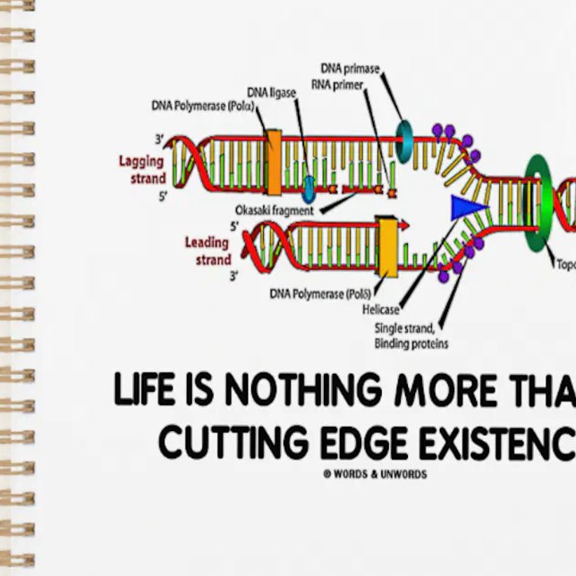 Das Leben ist nichts weiter als eine Spitzenexiste Planer (DNA replication planner for anyone who believes that life is nothing more than a cutting existence!)