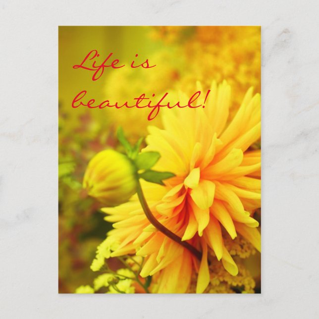 Das Leben ist schön | Golden Yellow Dahlias Postkarte (Vorderseite)