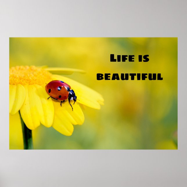 Das Leben ist schön - Ladybug Poster (Vorne)
