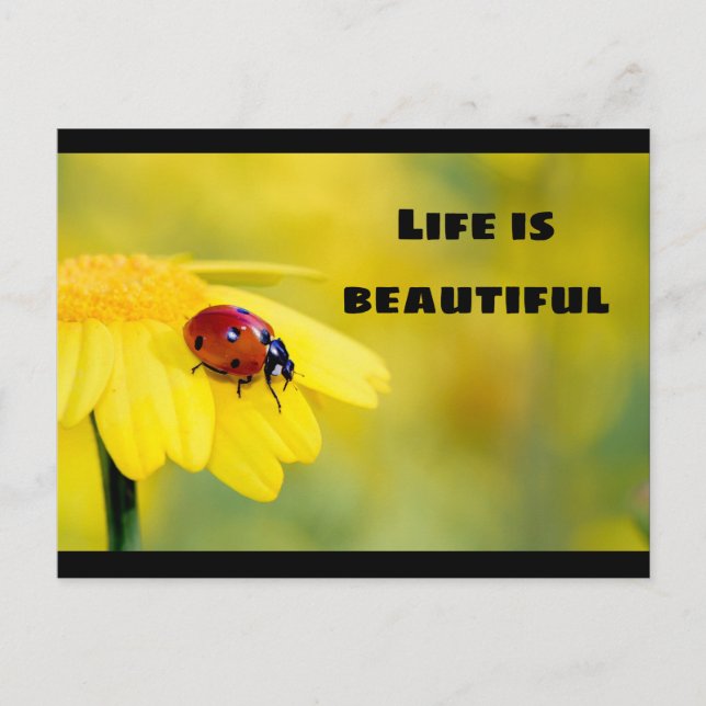 Das Leben ist schön - Ladybug Postkarte (Vorderseite)