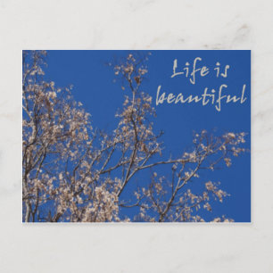 Das Leben ist schön Postkarte