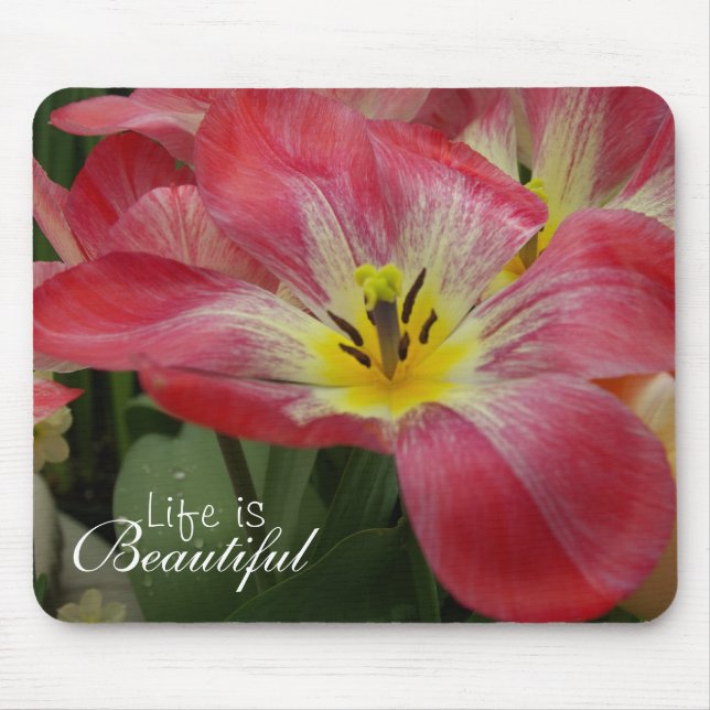 Das Leben ist schönes BlumenMousepad Mousepad (Vorne)