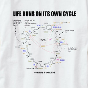 Das Leben läuft auf seinem eigenen Zyklus (Krebs-Z T-Shirt