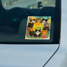 Das Leben mit dem TNR ist besser