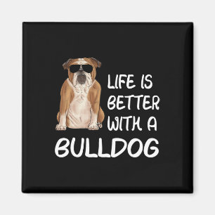 Das Leben von Bullhunden ist besser mit einem Bull Magnet