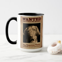 Das lebhafte Vizsla