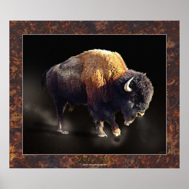 Das letzte Buffalo-Poster der Wildlife History Fin Poster (Vorne)