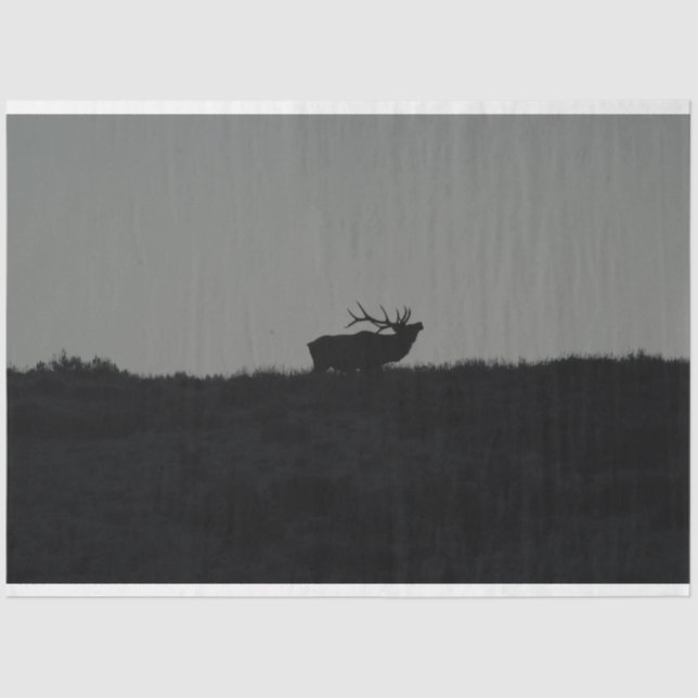 Das letzte Übel Seidenpapier (Vorderseite)