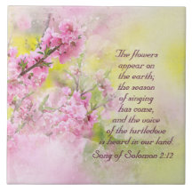 Das Lied von Solomon 2:12 Blume erscheint auf der