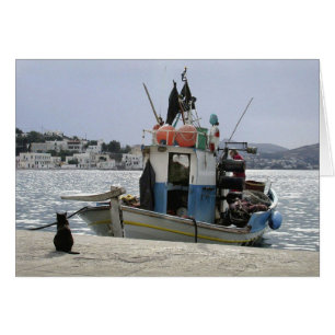 Das Lunchboat der Katze