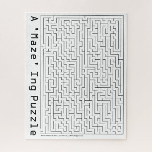 Das "Maze-Puzzle"