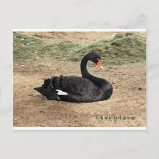 Das Meer träumen Postkarte